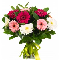 12 Gerberas