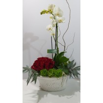 Elegante Orquídea con Rosas