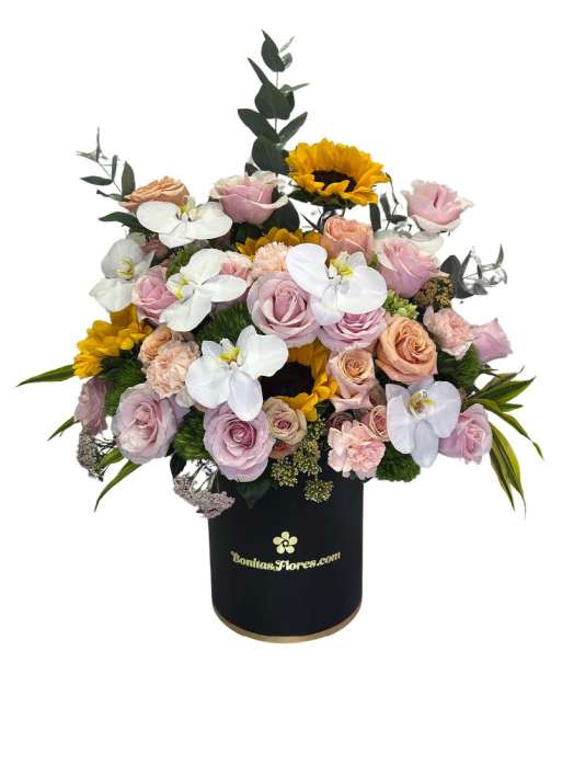 Diseño Orquídea
